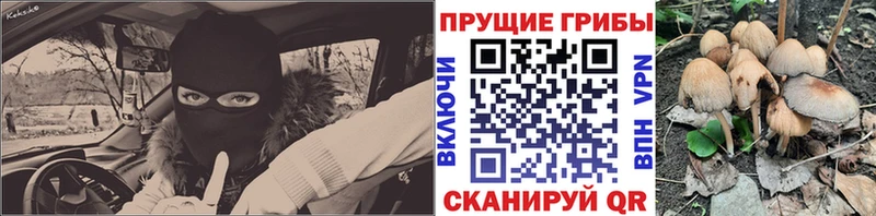 Галлюциногенные грибы Cubensis Красноперекопск