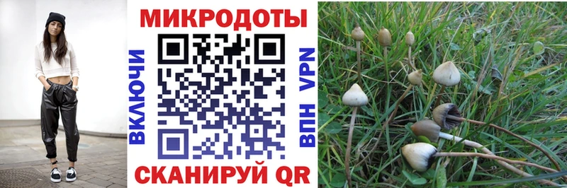 Псилоцибиновые грибы MAGIC MUSHROOMS  даркнет состав  Красноперекопск 