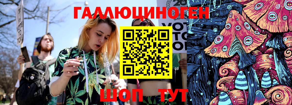 Красноперекопск  Галлюциногенные грибы Psilocybe  Вход с VPN 